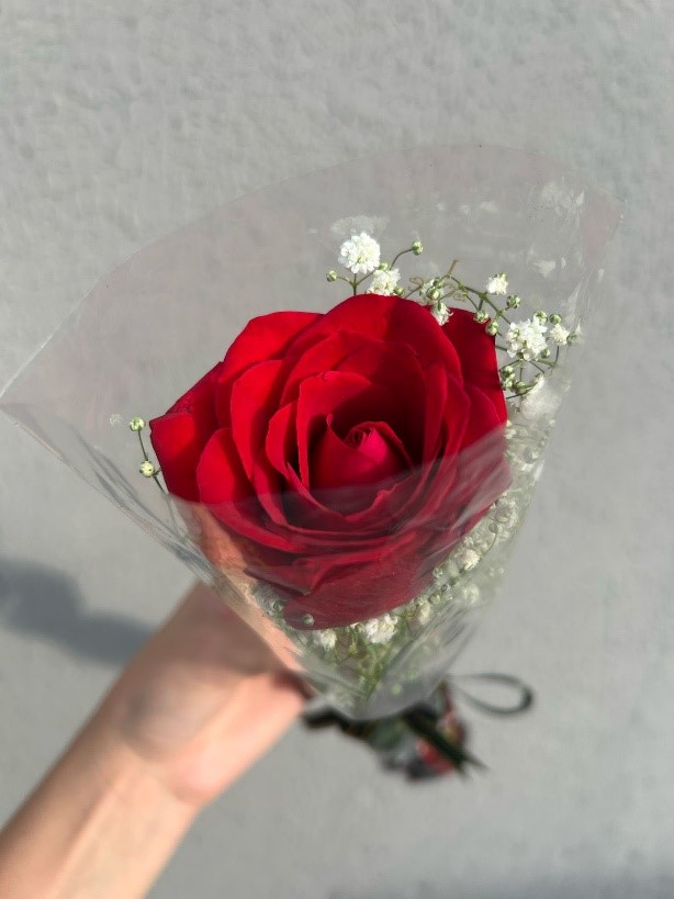 Flores - Rosa Encantada 🌹✨ | Cesta Encantada